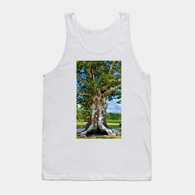 White Bark Tree Tank Top by Cynthia48